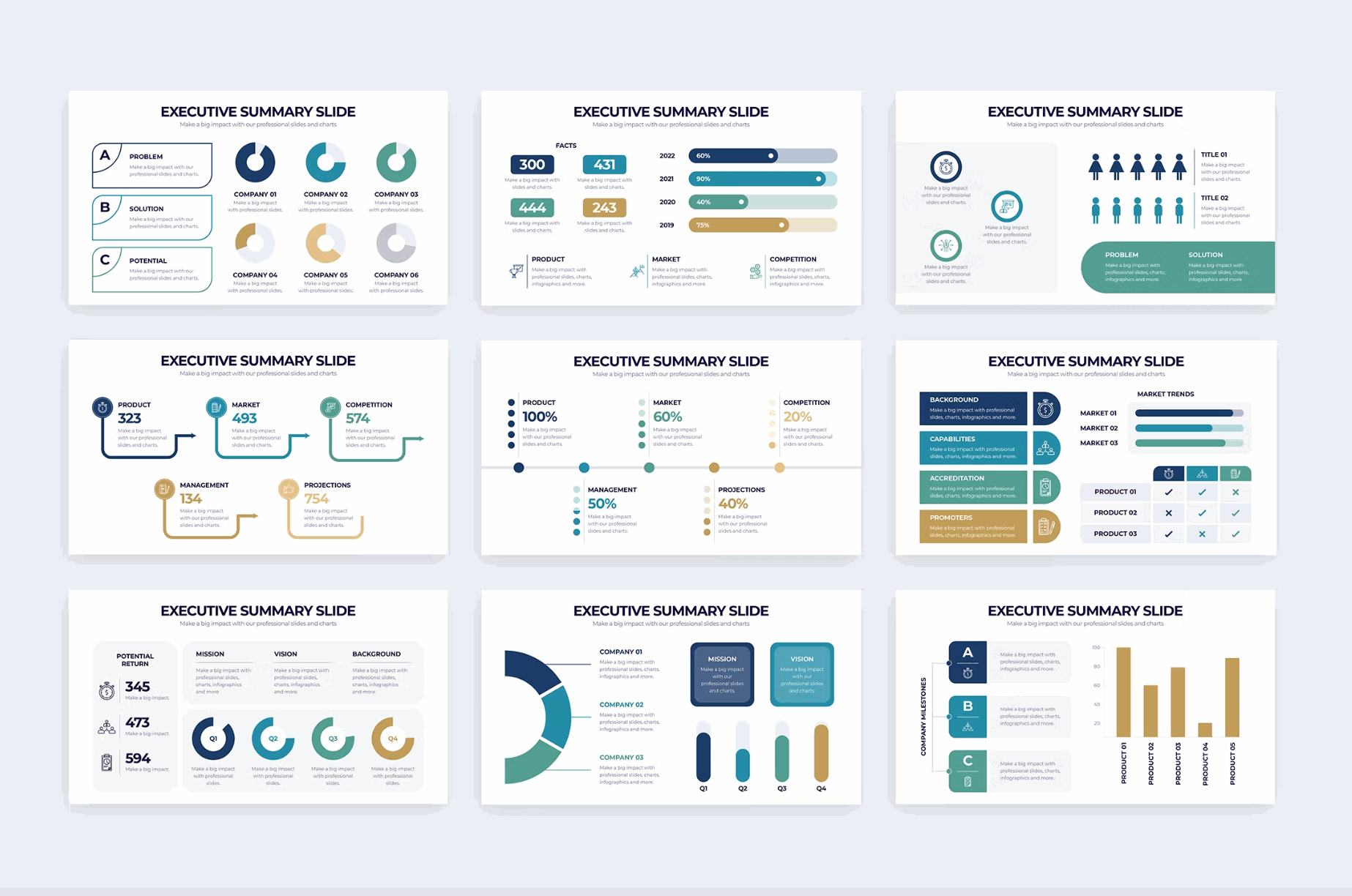 260Business Executive Summary Illustrator Infographic