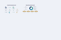 260Business Executive Summary Illustrator Infographic - whaledesign
