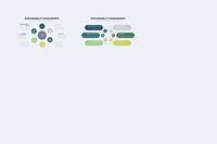 268Sustainability Management Illustrator Infographics - whaledesign