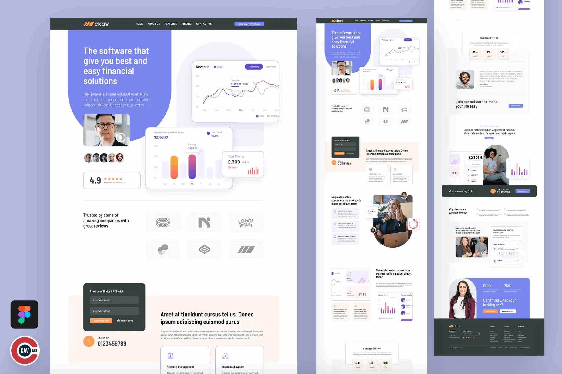 226San - Financial Service Landing Page Design