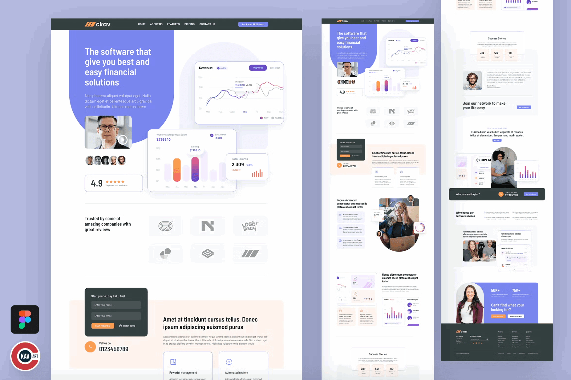 226San - Financial Service Landing Page Design - whaledesign
