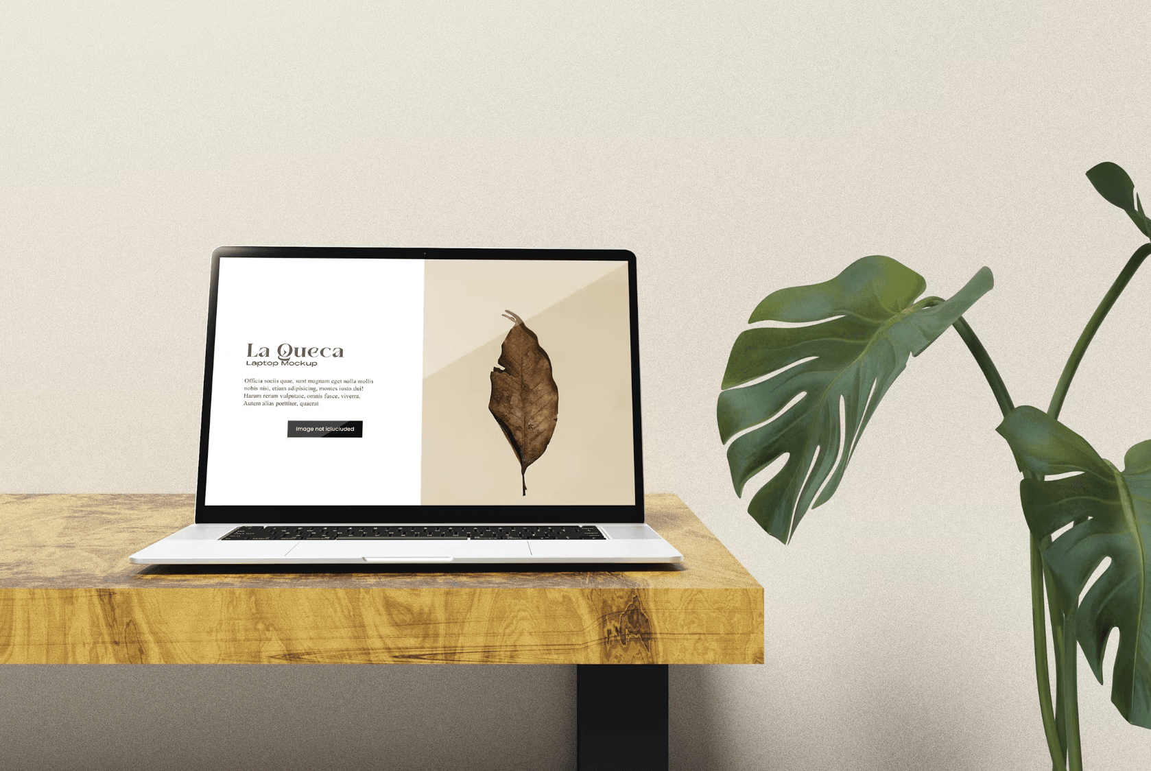 352Minimalist Setup Laptop Mockup - whaledesign