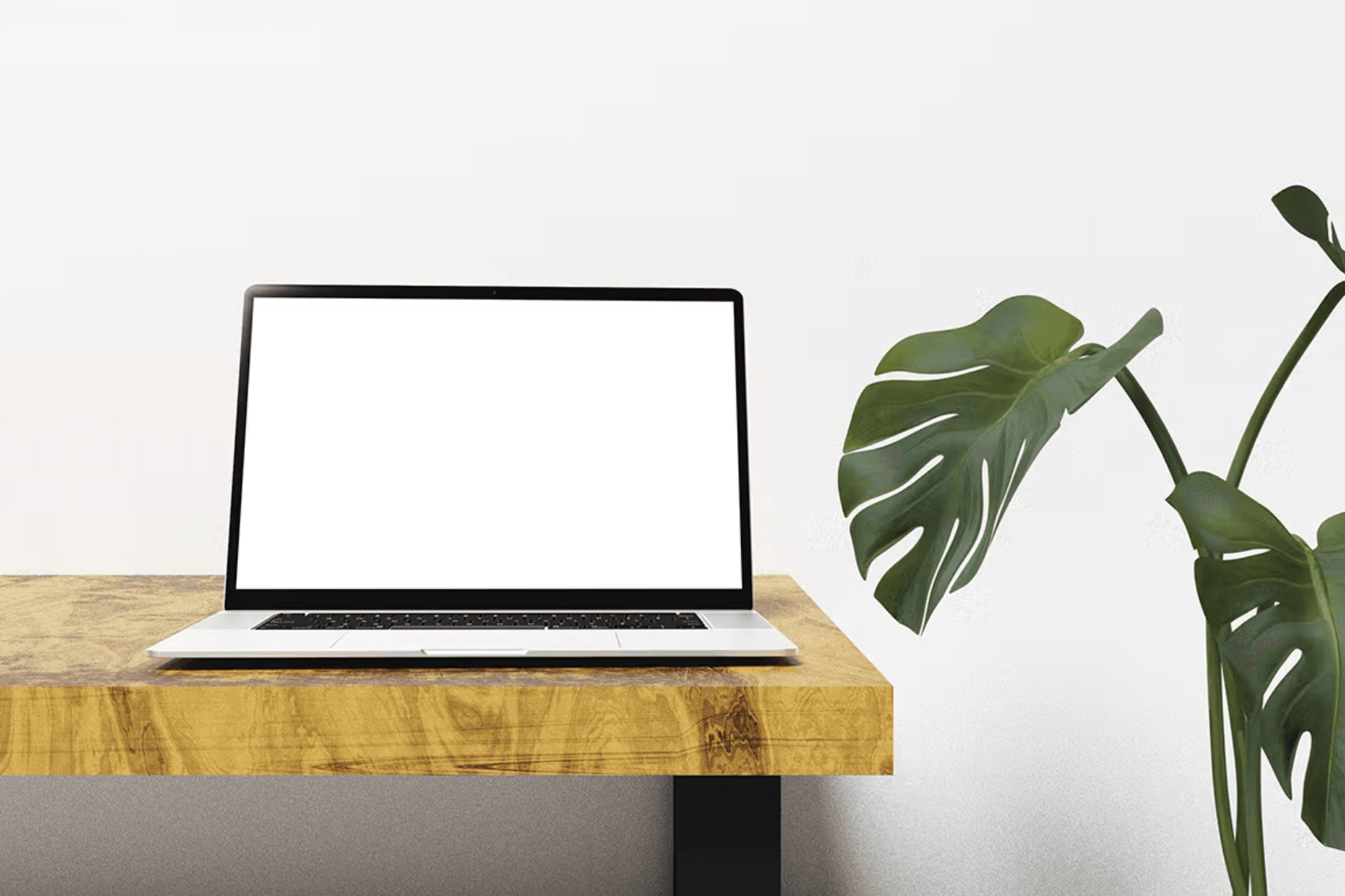 352Minimalist Setup Laptop Mockup - whaledesign