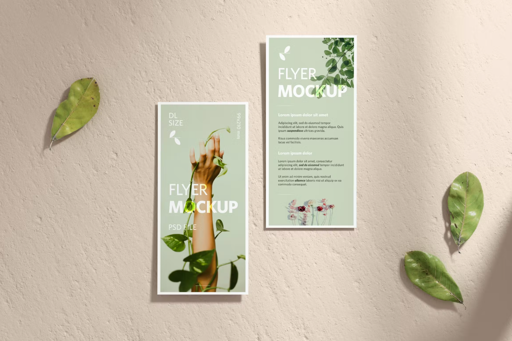 394Two DL Flyers Realistic Mockup - whaledesign