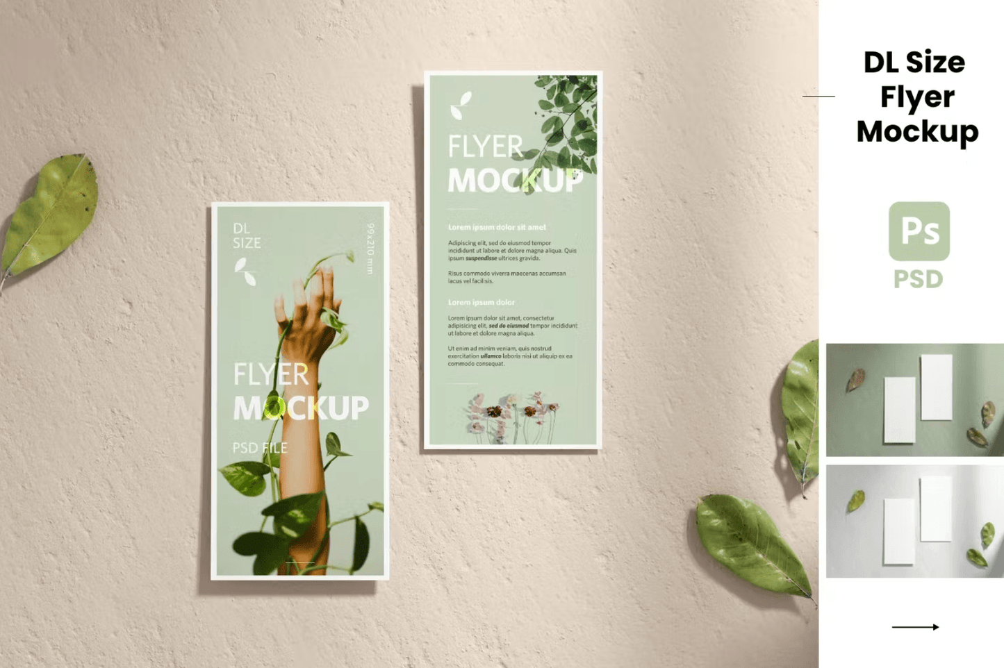 394Two DL Flyers Realistic Mockup - whaledesign
