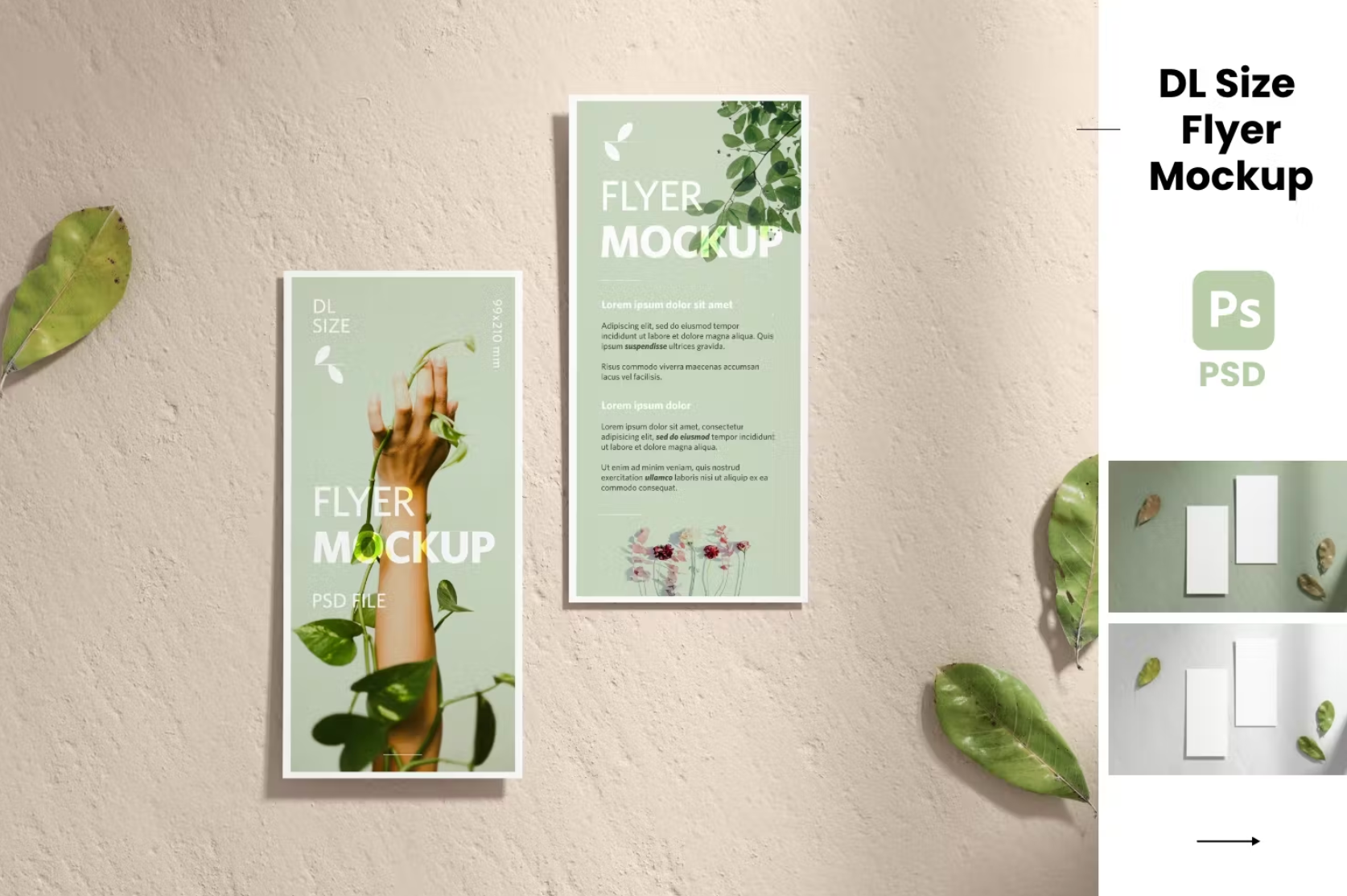 394Two DL Flyers Realistic Mockup - whaledesign