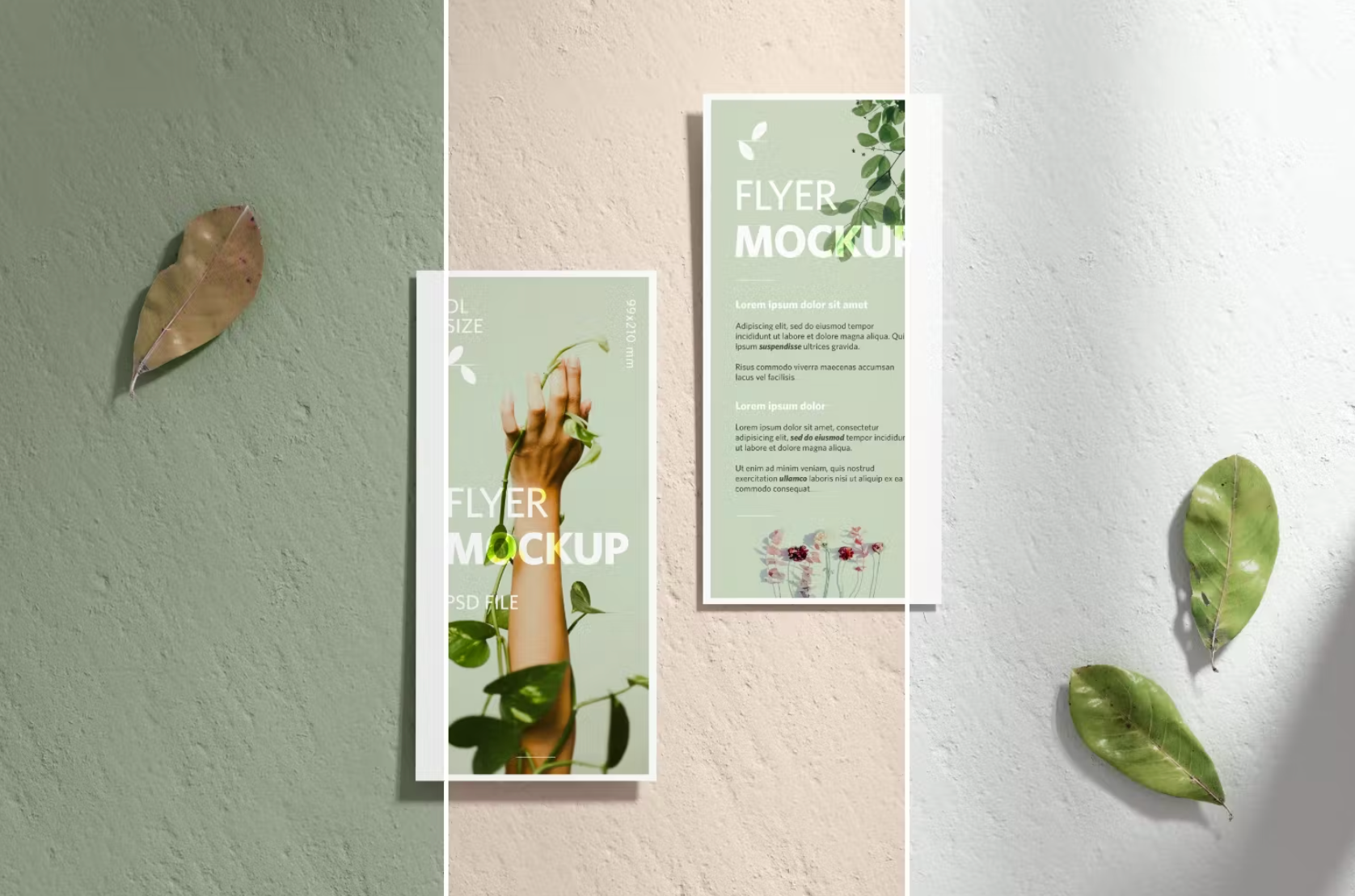 394Two DL Flyers Realistic Mockup - whaledesign