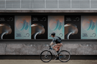 380Wall Poster Mockup Set - whaledesign