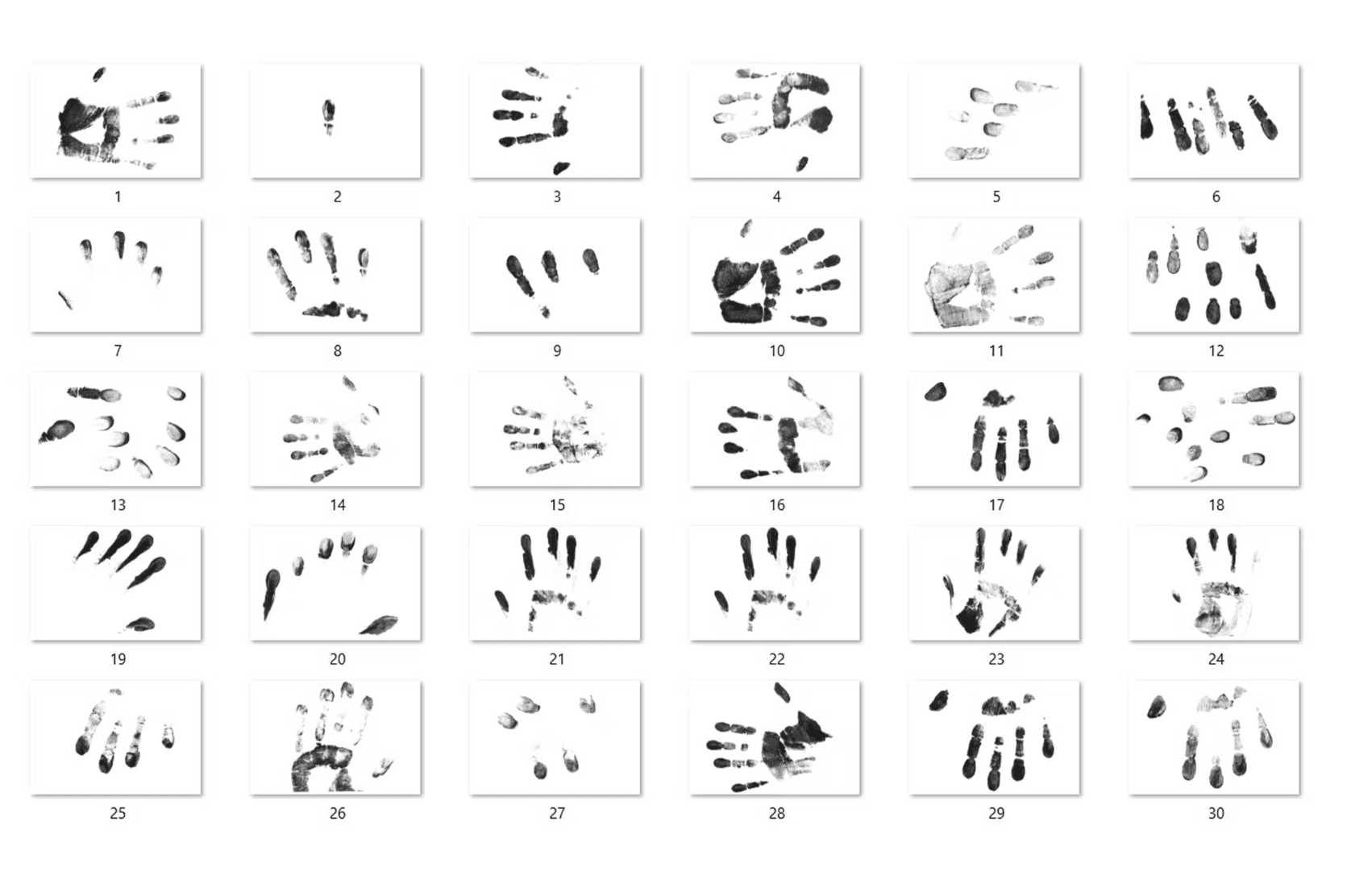 42430 Fingerprint Overlay - whaledesign