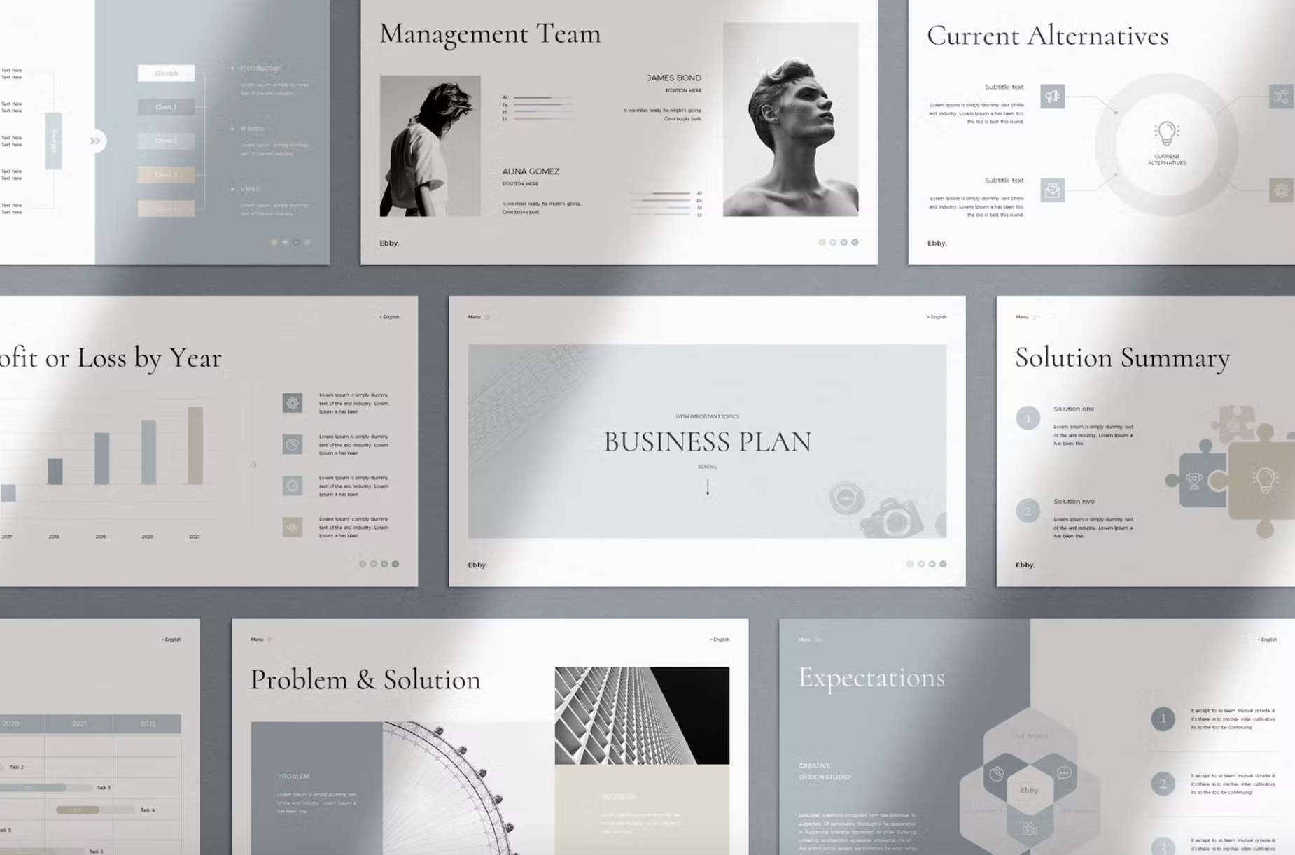 494Business Plan PowerPoint Presentation Template - whaledesign