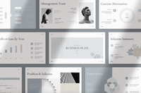 494Business Plan PowerPoint Presentation Template - whaledesign