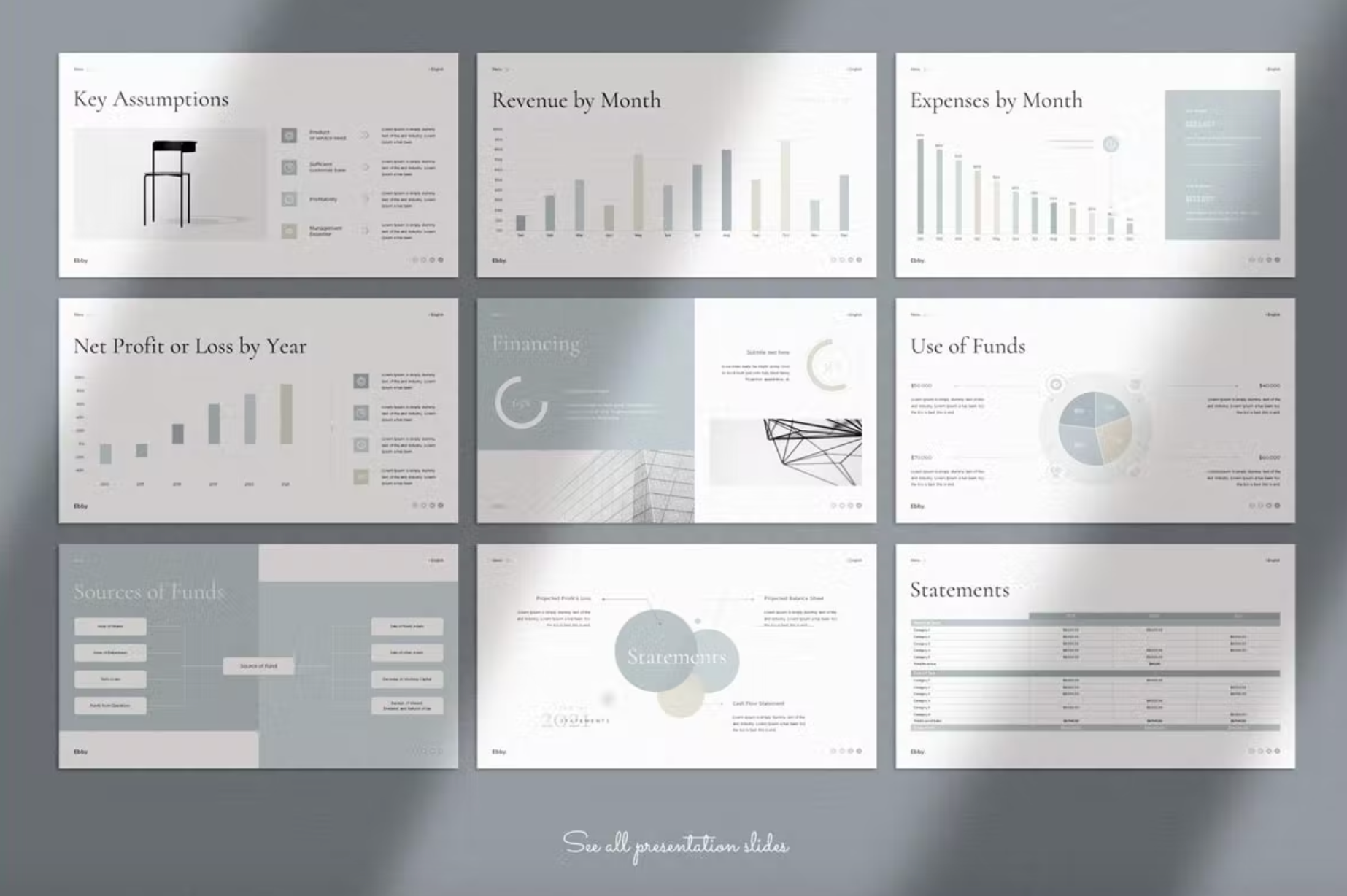 494Business Plan PowerPoint Presentation Template - whaledesign