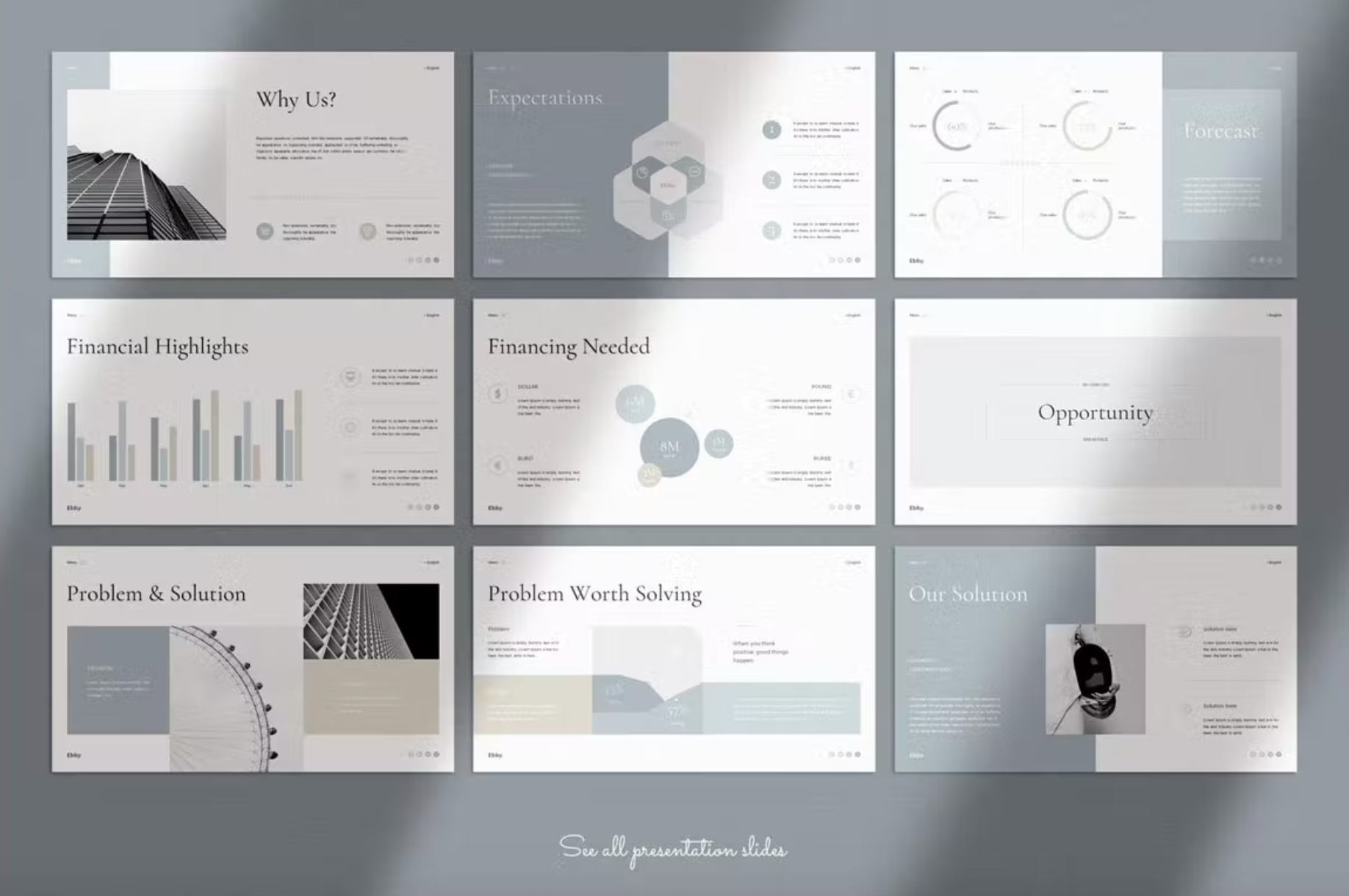 494Business Plan PowerPoint Presentation Template - whaledesign