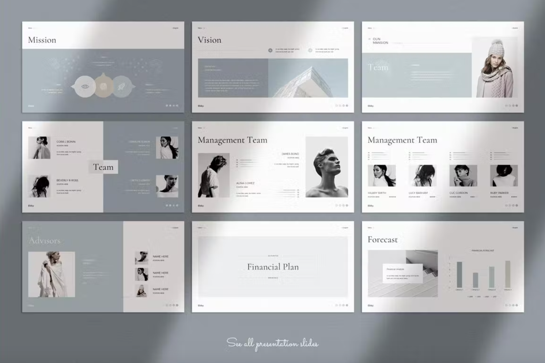 494Business Plan PowerPoint Presentation Template - whaledesign