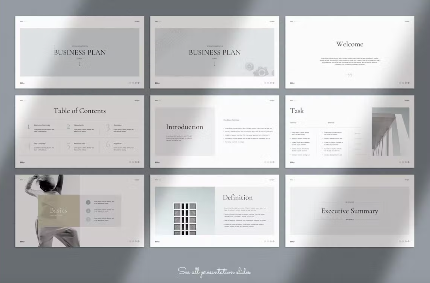 494Business Plan PowerPoint Presentation Template - whaledesign