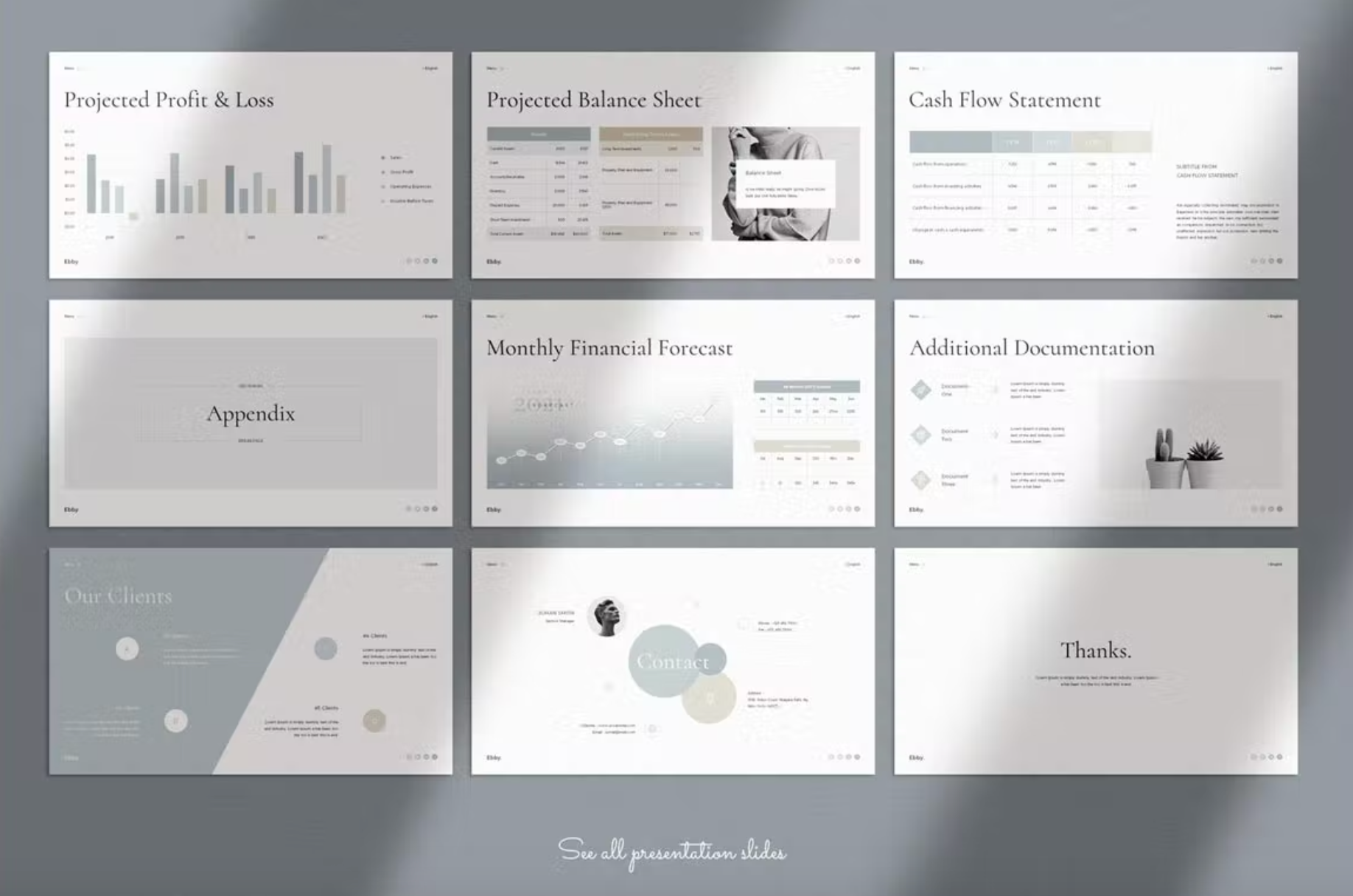 494Business Plan PowerPoint Presentation Template - whaledesign