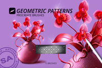 506 Geometric Patterns for Procreate - whaledesign