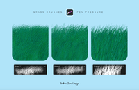557 Grass Procreate Brushes - whaledesign