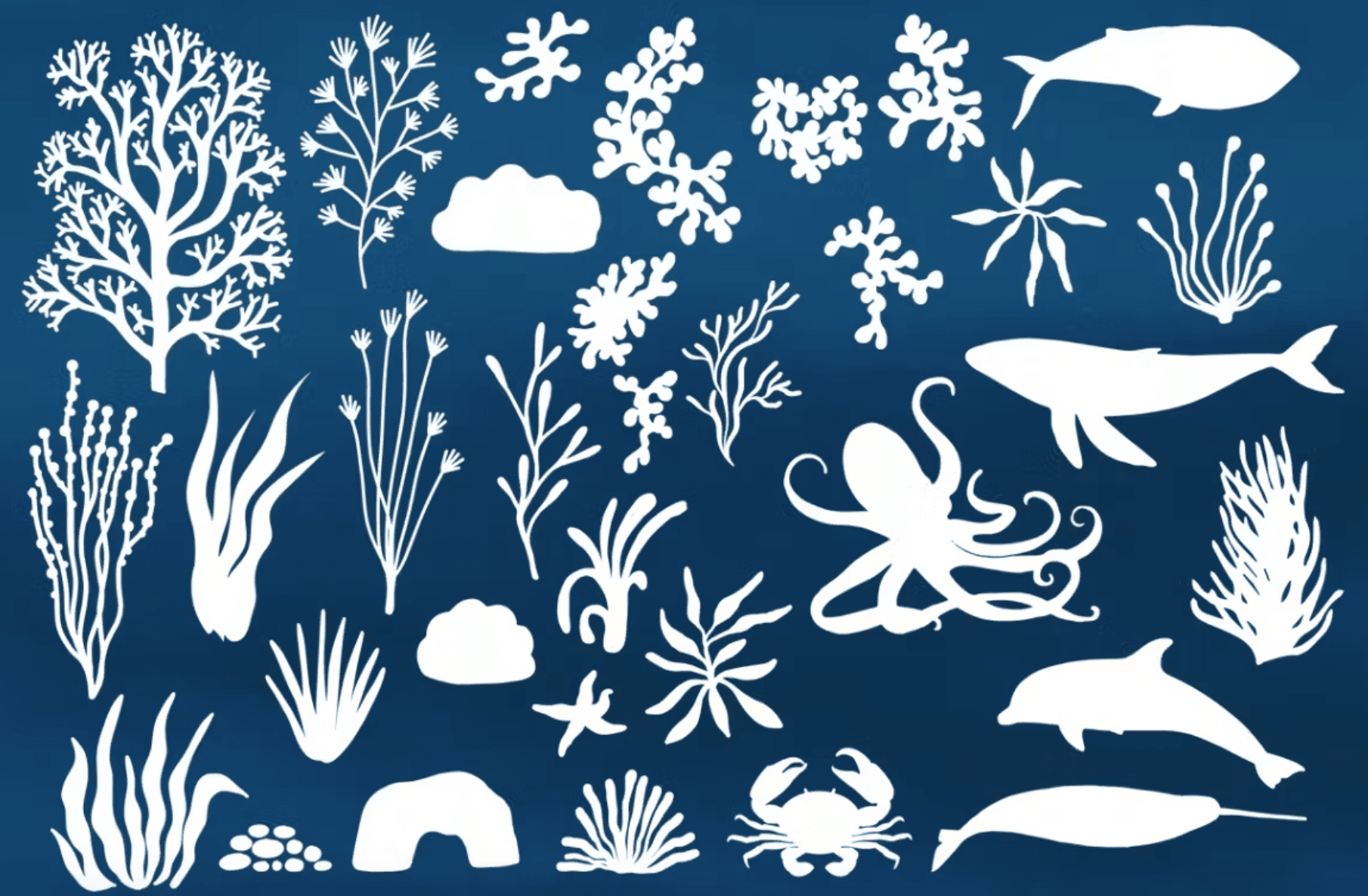 558 Under The Sea Procreate Brushes - whaledesign