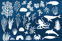 558 Under The Sea Procreate Brushes - whaledesign