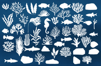 558 Under The Sea Procreate Brushes - whaledesign