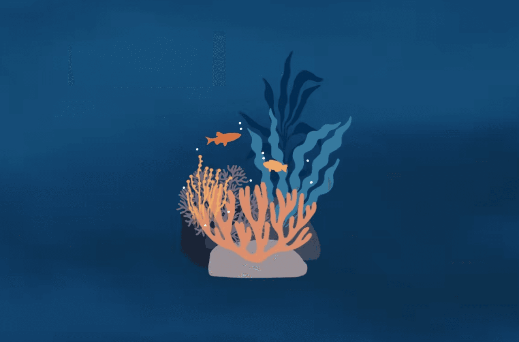 558 Under The Sea Procreate Brushes - whaledesign