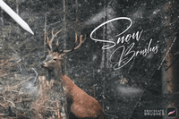 561 Snow Procreate Brushes - whaledesign
