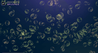 563 Bubbles Procreate Brushes - whaledesign