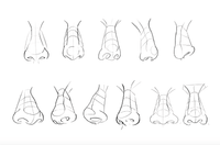 566 10 Nose Stamp Procreate - whaledesign