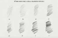 589 Graphite Pencils for Procreate - whaledesign