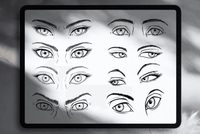 568 Eyes Anatomy Brush Stamp Procreate - whaledesign
