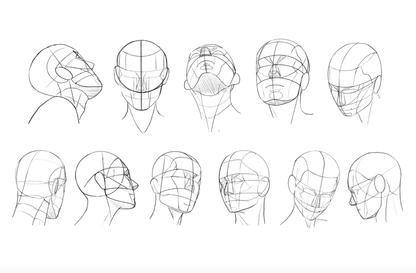 596 10 Portrait Guide Stamps Procreate - whaledesign