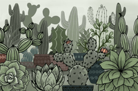 607 Cactus Succulents and Pots - Procreate Brushes - whaledesign