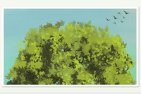 611 Procreate Foliage brushes - whaledesign