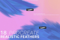 622 Procreate Realistic Feather Brushes - whaledesign