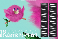622 Procreate Realistic Feather Brushes - whaledesign