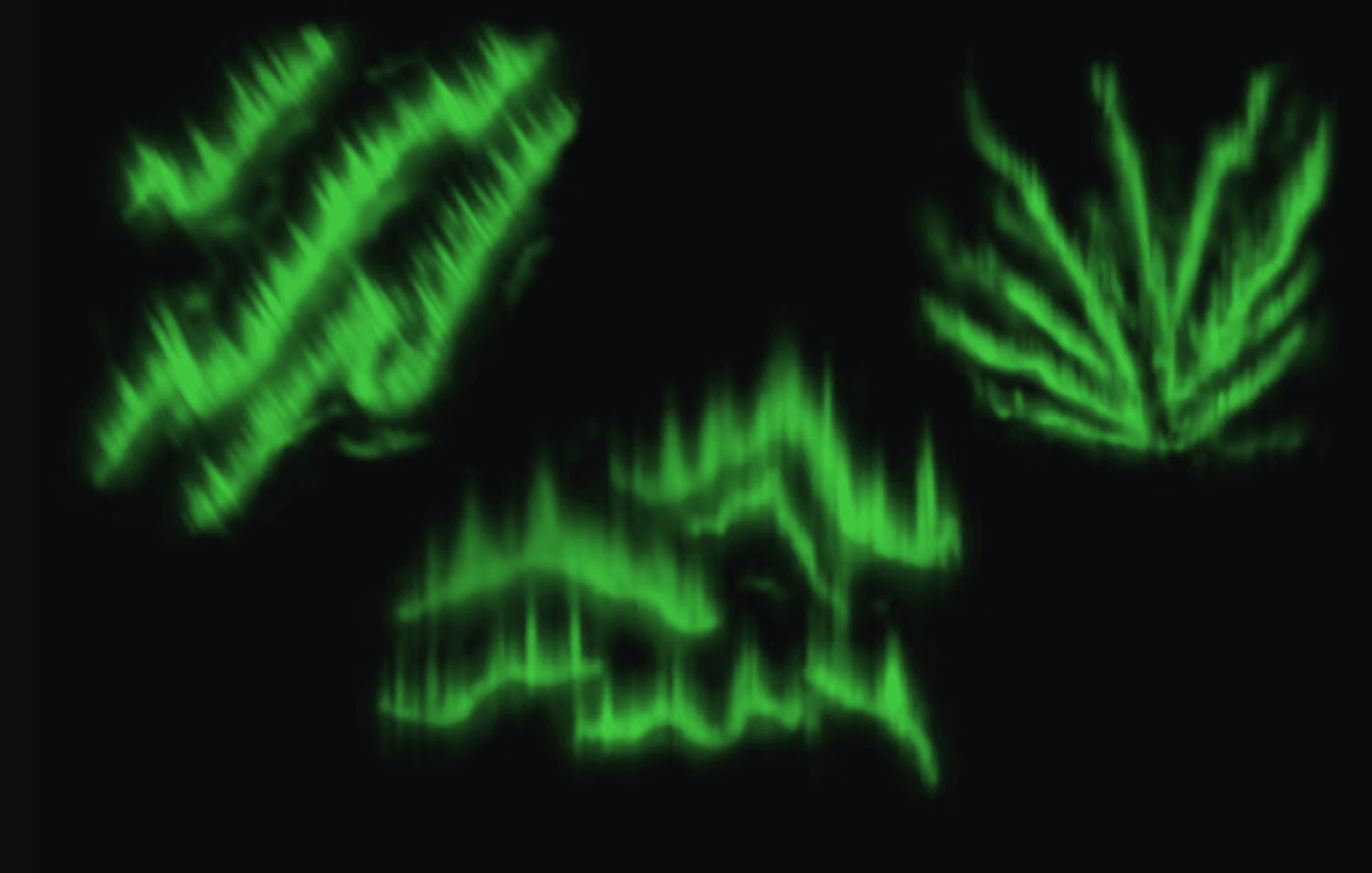 624 Northern Lights Brushes - whaledesign
