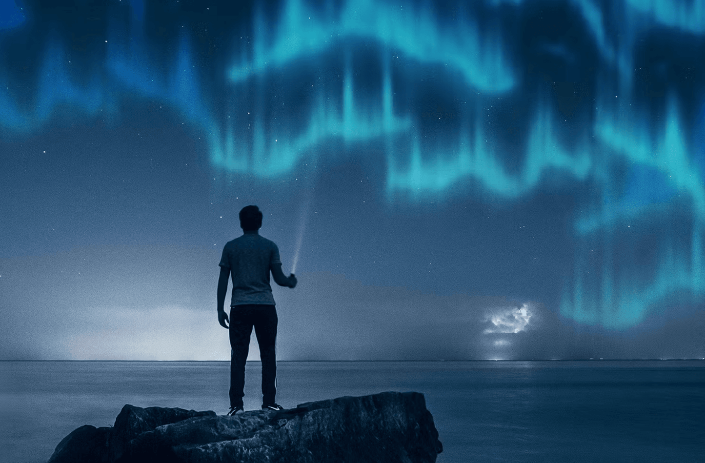 624 Northern Lights Brushes - whaledesign