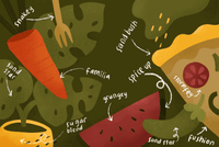 628 Spice Up Brush - whaledesign