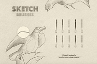 644 Sketch & Pencil Procreate Brushes - whaledesign