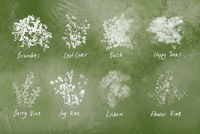 655 Nature Studio - Landscape Procreate Brushes - whaledesign