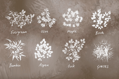 655 Nature Studio - Landscape Procreate Brushes - whaledesign