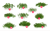 666 Procreate Foliage Brushes - Plants - whaledesign