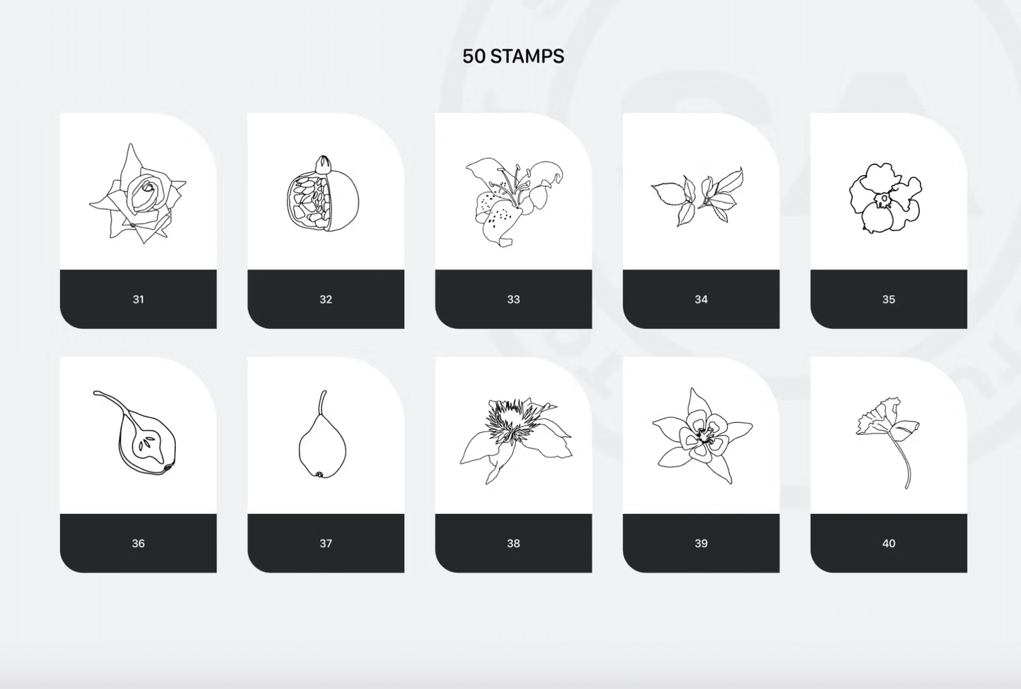 675 Procreate Rich Flowers Stamps - whaledesign