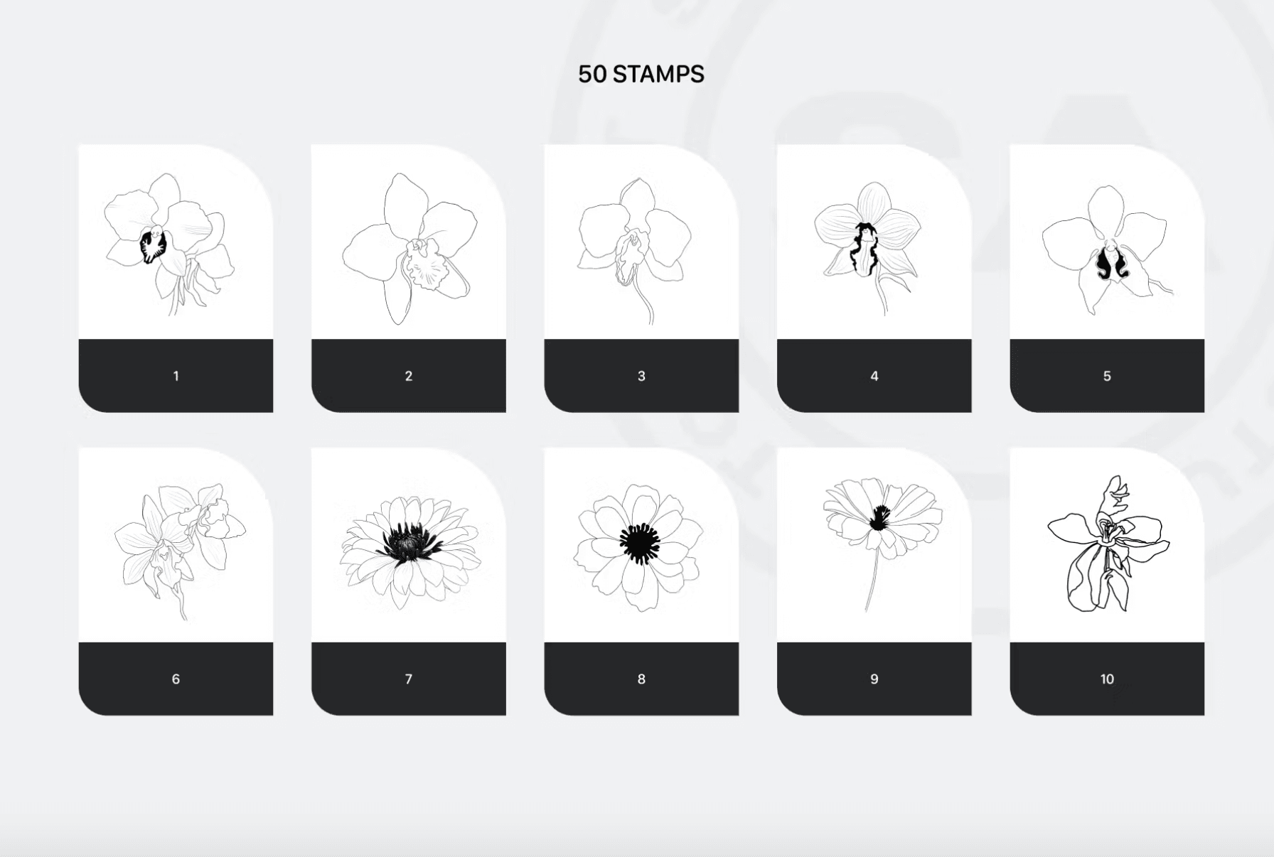675 Procreate Rich Flowers Stamps - whaledesign