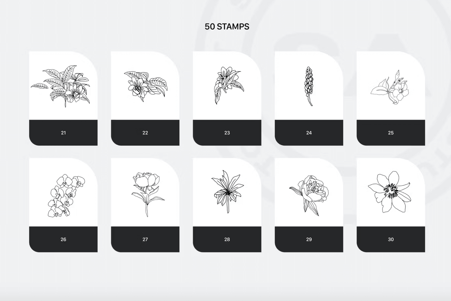 675 Procreate Rich Flowers Stamps - whaledesign