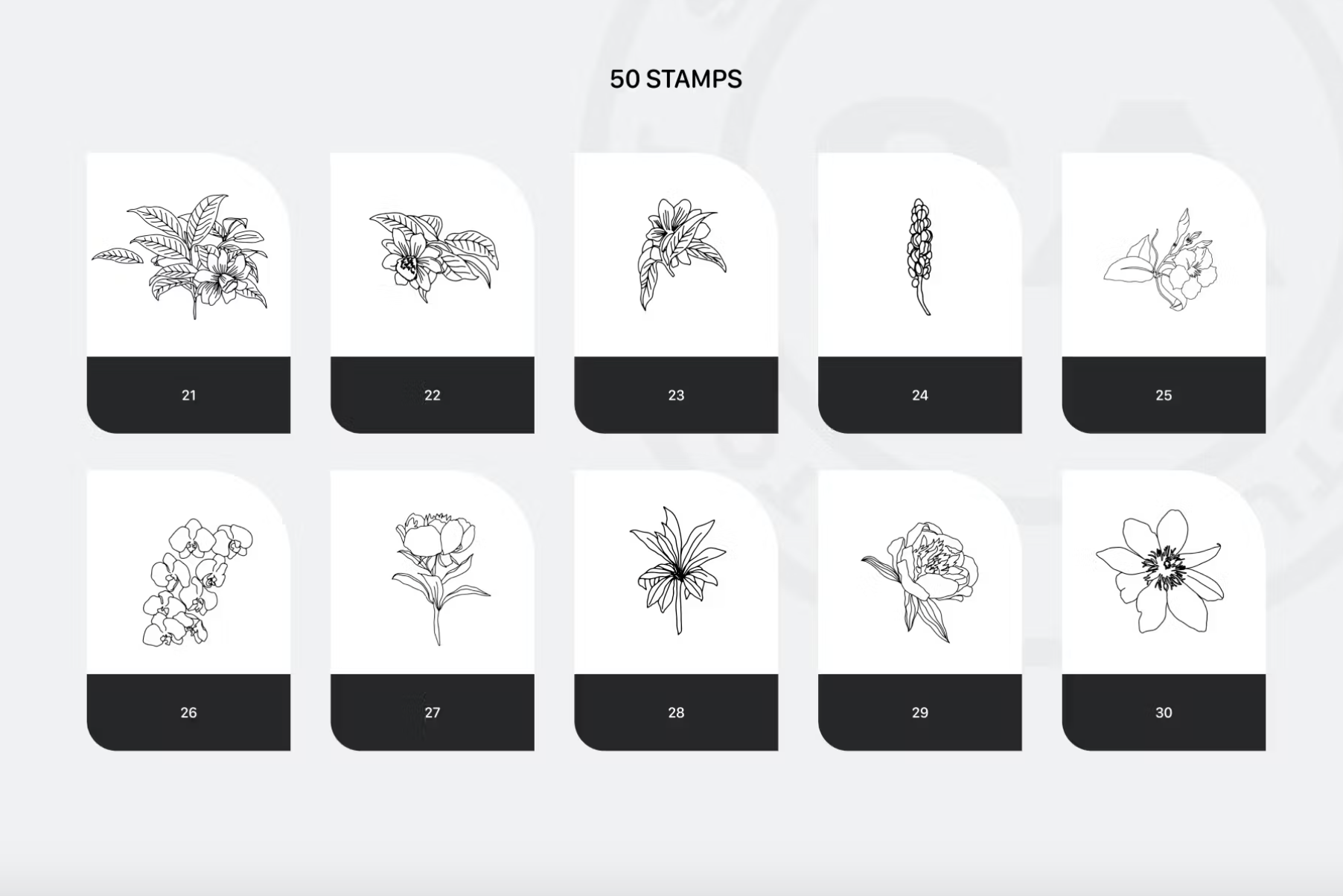 675 Procreate Rich Flowers Stamps - whaledesign