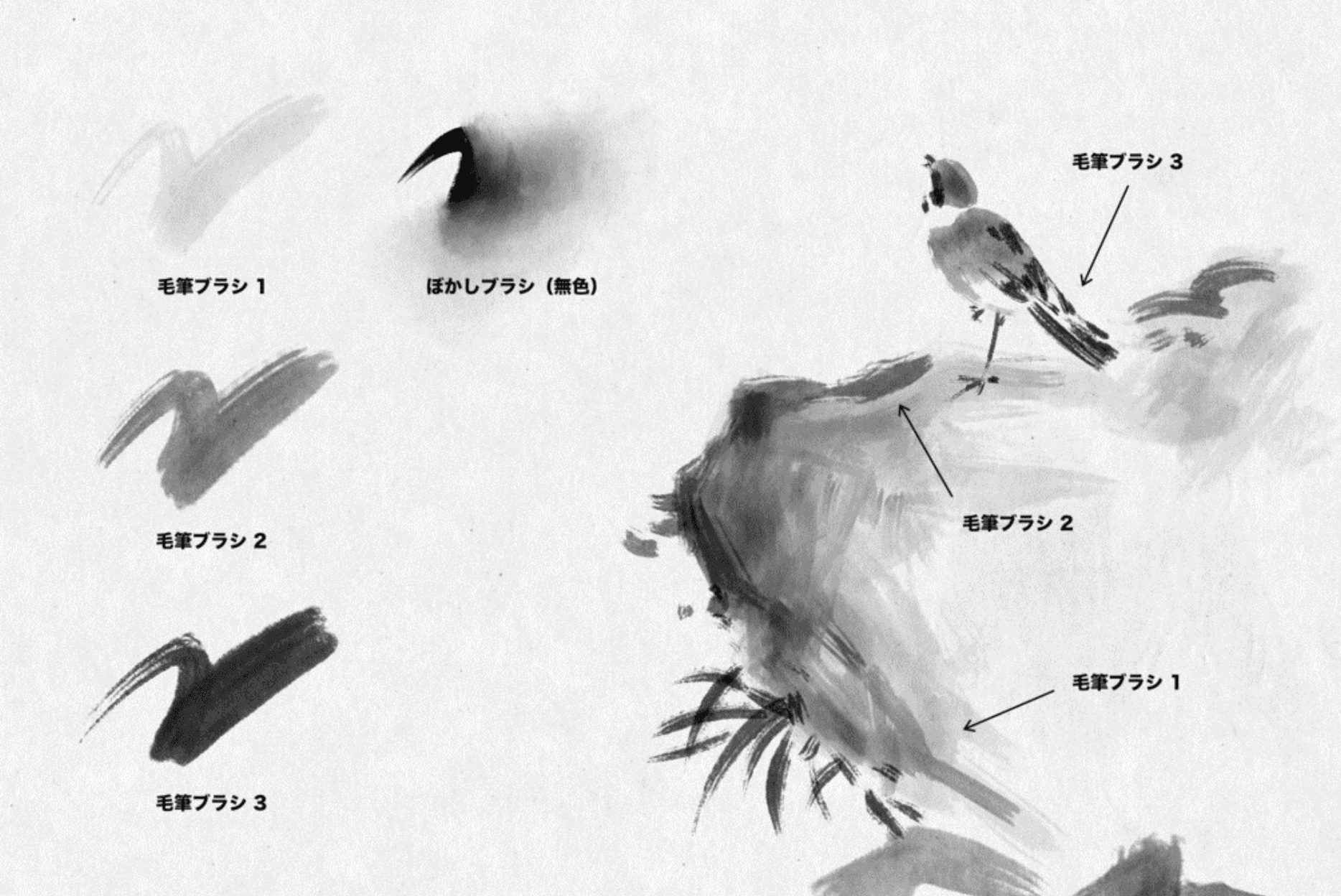 749 Procreate Ink Brush Set - whaledesign