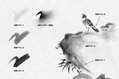 749 Procreate Ink Brush Set - whaledesign