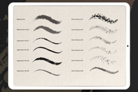 755 Procreate Japanese-Style Ink Wash Brush - whaledesign